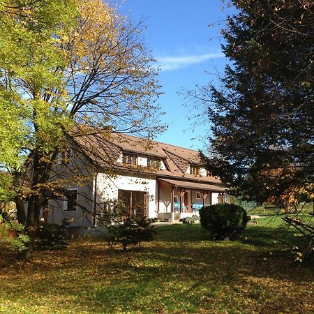 Villa Mamut Rozvadov Exterior foto