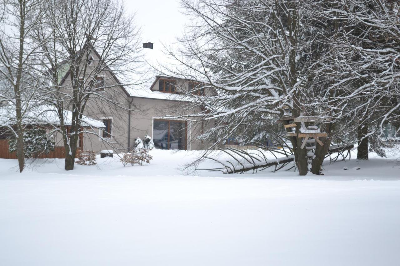 Villa Mamut Rozvadov Exterior foto